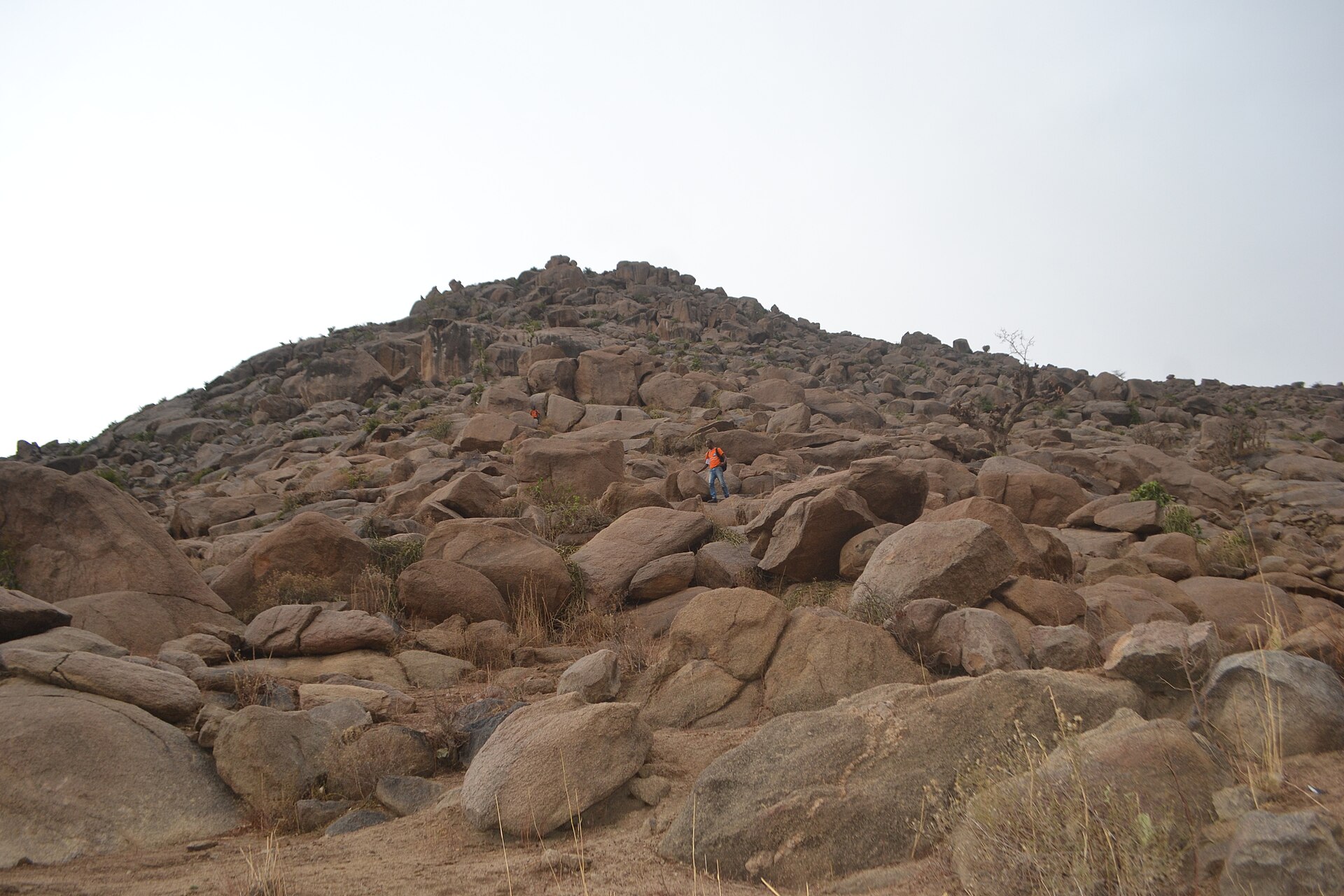 A hillside covered in rounded granite boulders under a pale sky, with a small figure standing among the rocks.