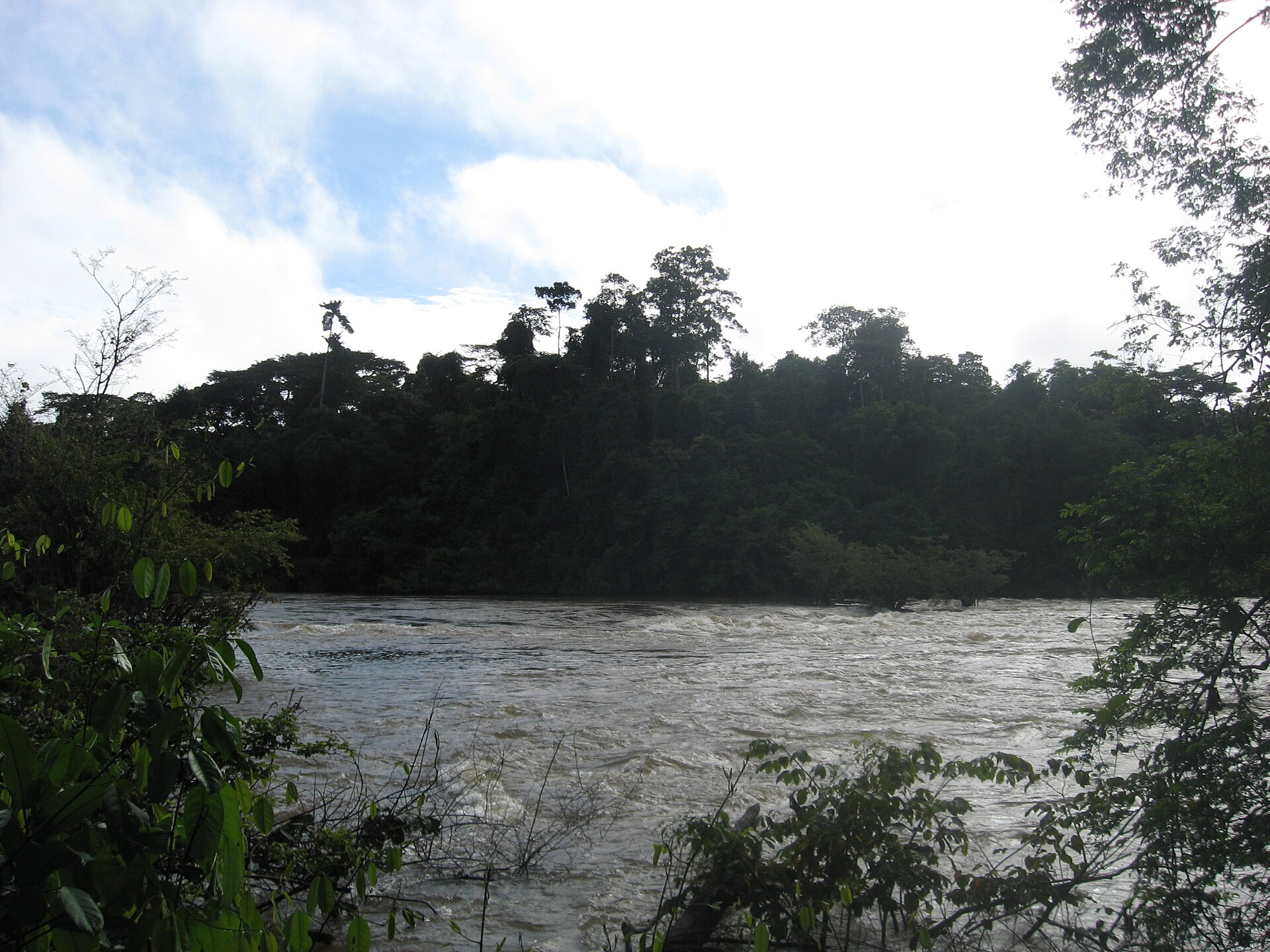 A fast, brown river running past a low island covered in dense rainforest.