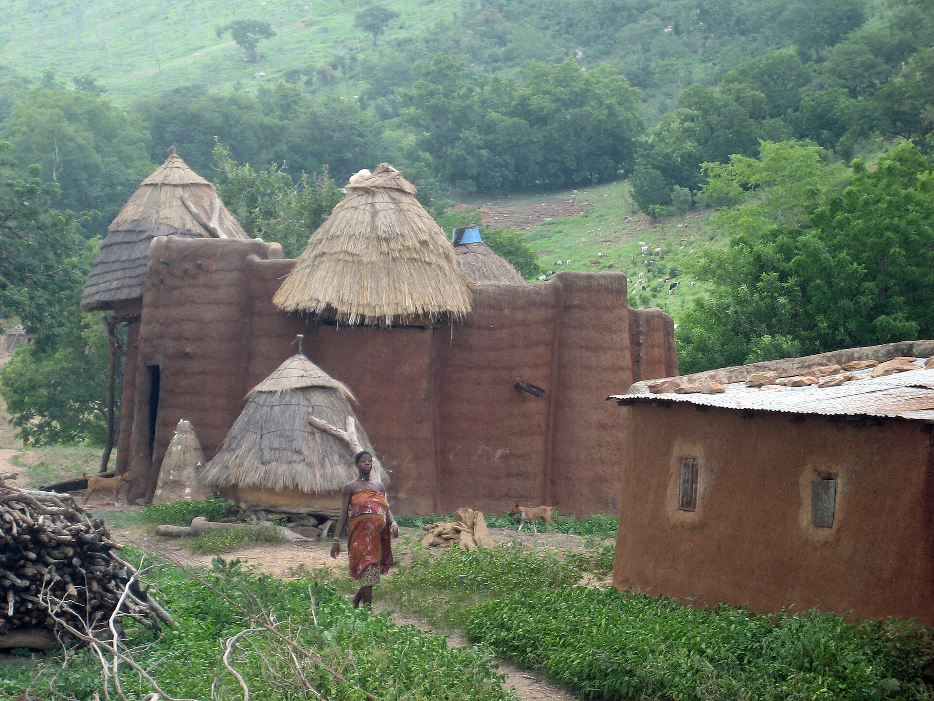 A Tammari earthen house with granaries and forked poles, in open countryside.