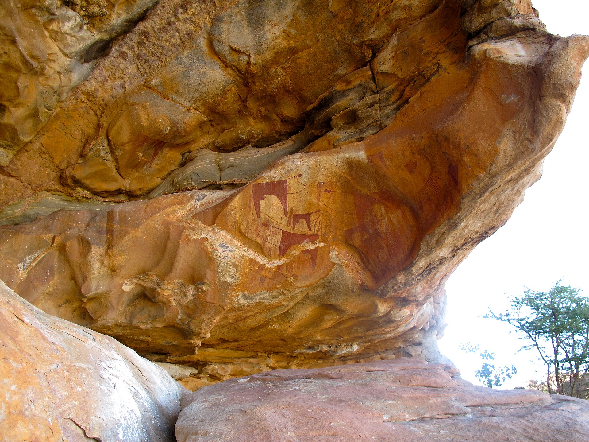A sandstone overhang whose underside carries faded red and white painted figures of cattle.