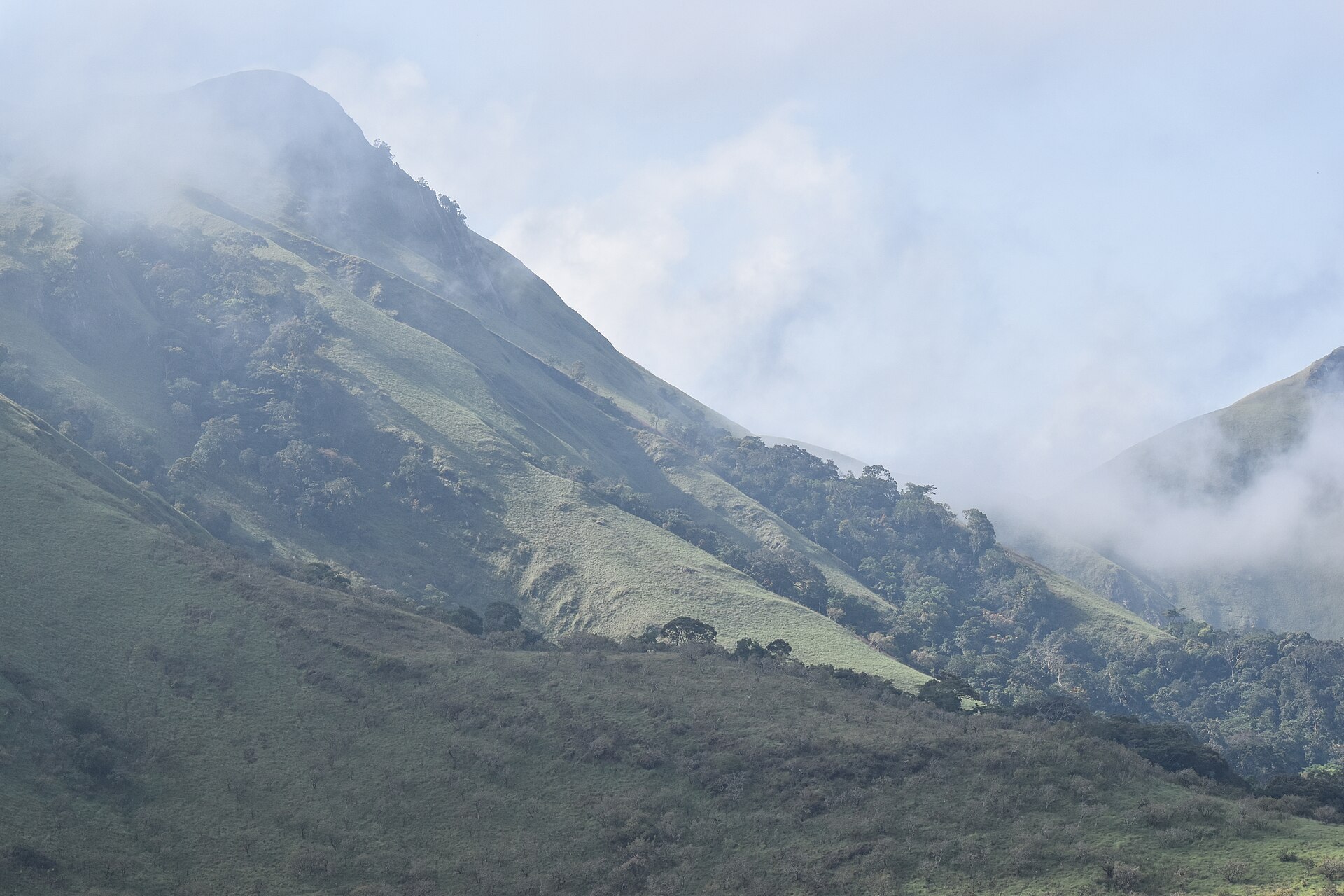 A steep green mountainside with grass on the upper slopes, forest in the gullies and cloud drifting over the ridge.