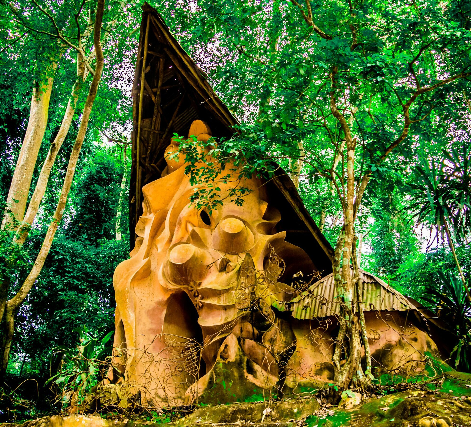 Sculptures among dense trees in the Osun-Osogbo sacred grove.