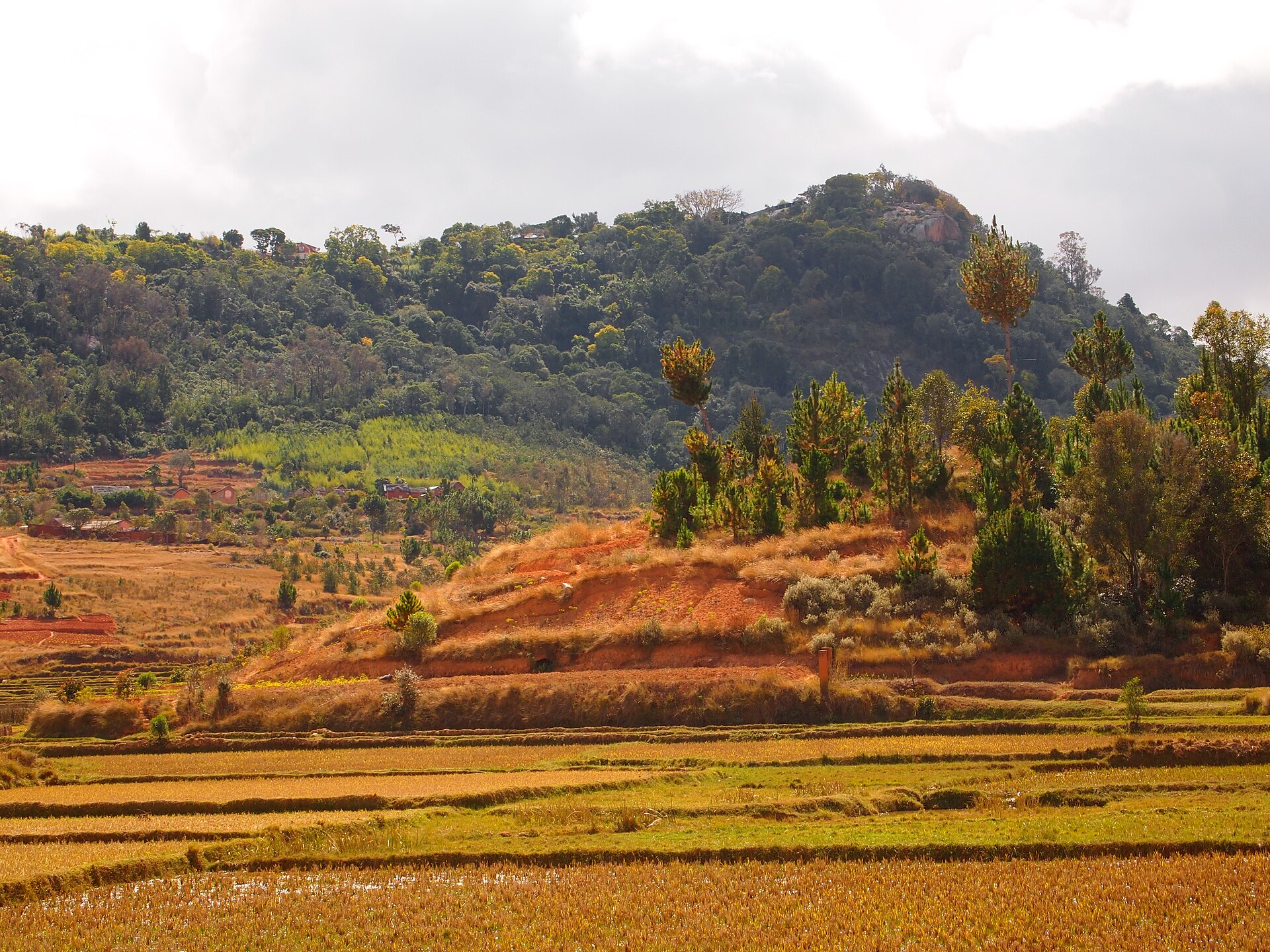 Red-earth fields and green hills under a pale sky, in a view toward the sacred hill of Ambohimanga.