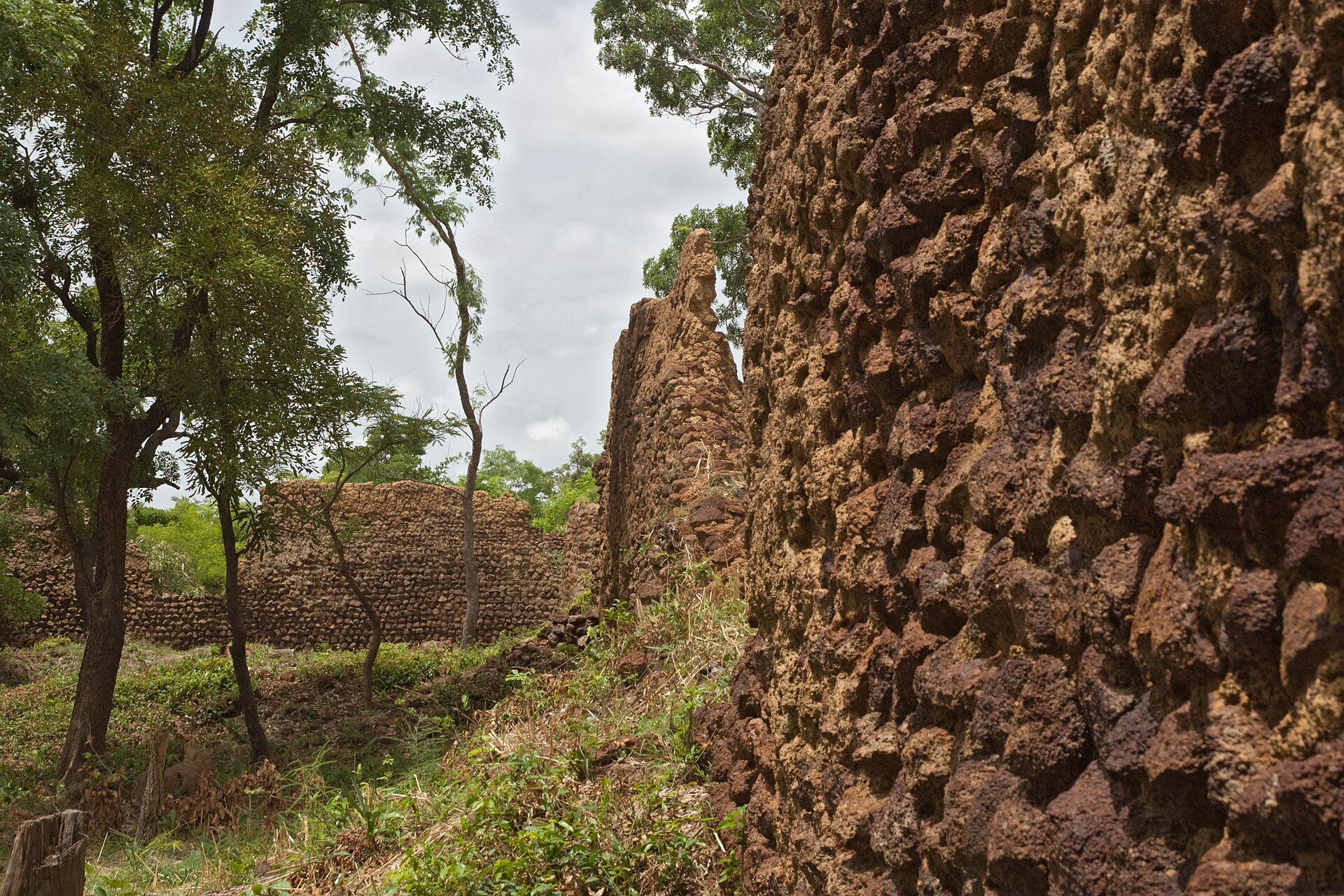 A weathered stone wall of the Loropéni ruins, with trees growing behind it.