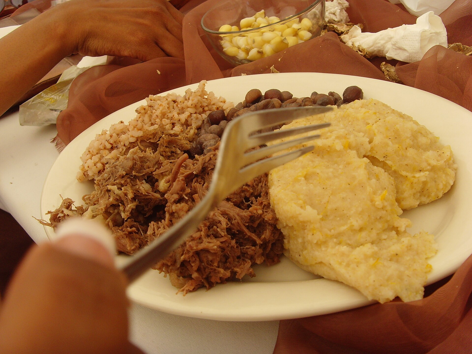 A plate with shredded dark meat, beans and a pale portion of maize porridge, and a fork held over it.