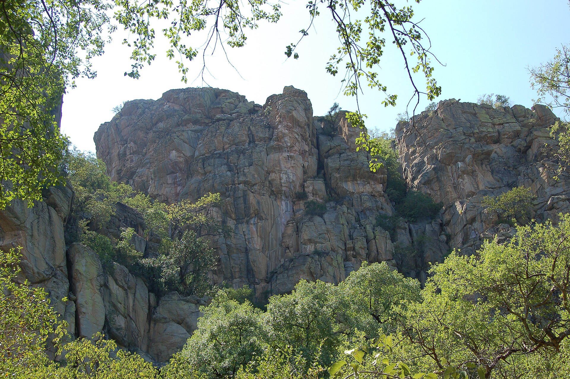 Steep outcrops of grey-brown rock rising above a green tree canopy.