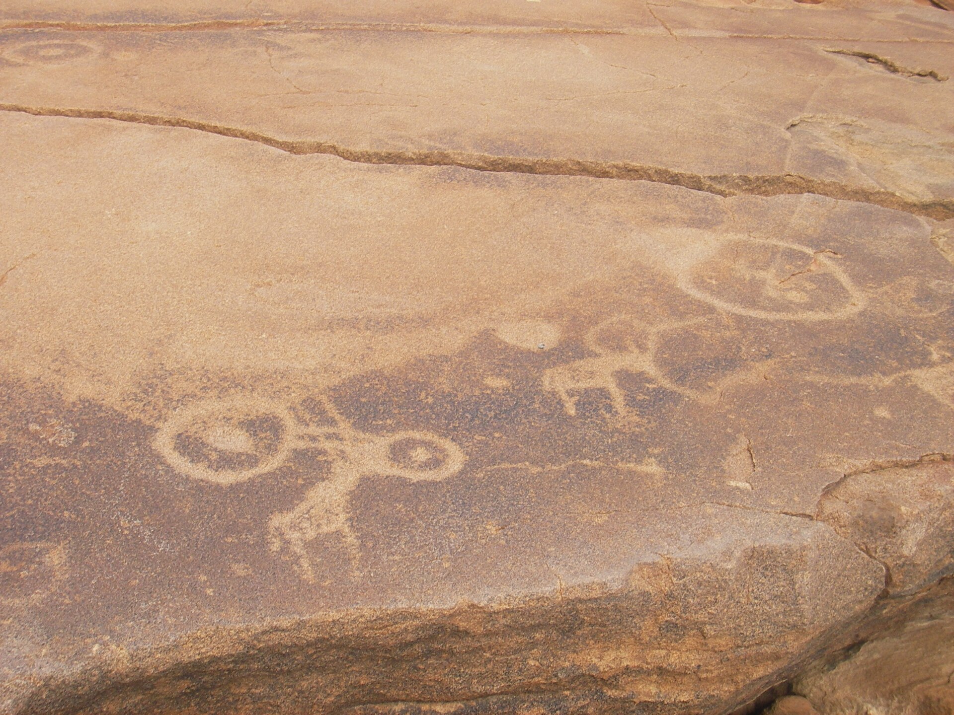 Rock engravings of circles and animal figures cut into pale brown rock.