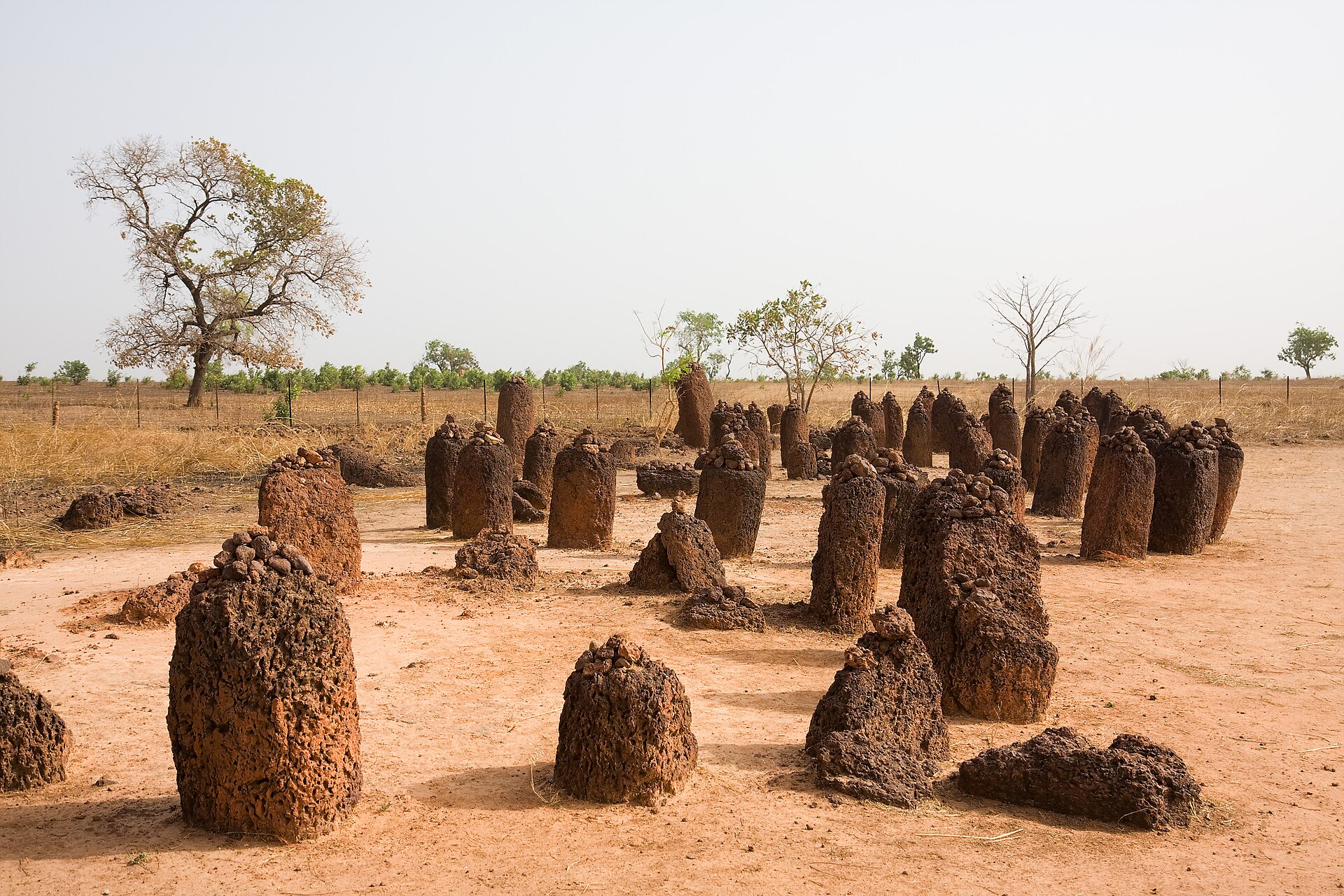 Dark red laterite pillars standing on red earth, with dry grass and a few bare trees behind.